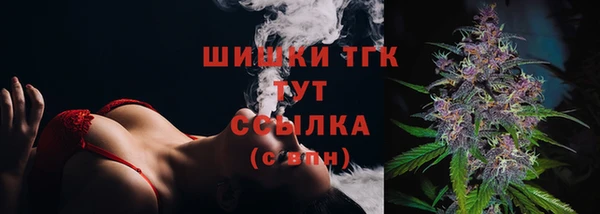 ГАЛЛЮЦИНОГЕННЫЕ ГРИБЫ Арсеньев