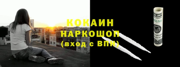 ГАЛЛЮЦИНОГЕННЫЕ ГРИБЫ Арсеньев
