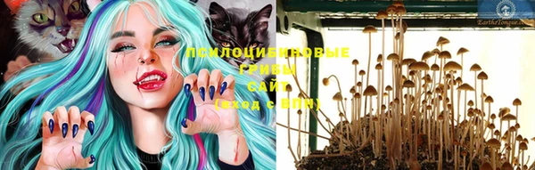 ГАЛЛЮЦИНОГЕННЫЕ ГРИБЫ Арсеньев