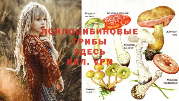 ГАЛЛЮЦИНОГЕННЫЕ ГРИБЫ Арсеньев