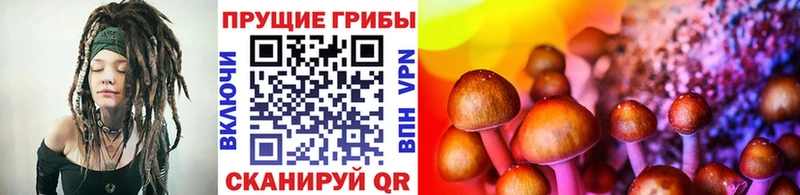 Псилоцибиновые грибы MAGIC MUSHROOMS  даркнет сайт  Верхний Тагил 